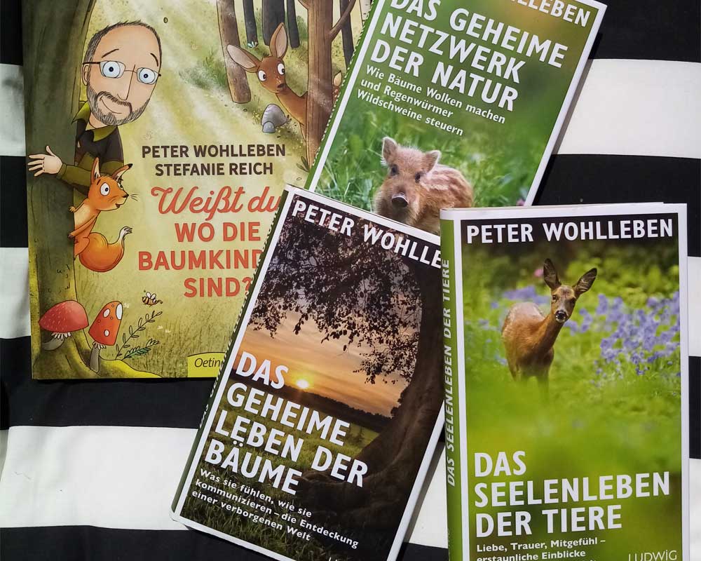 Bücher für Waldliebhaber