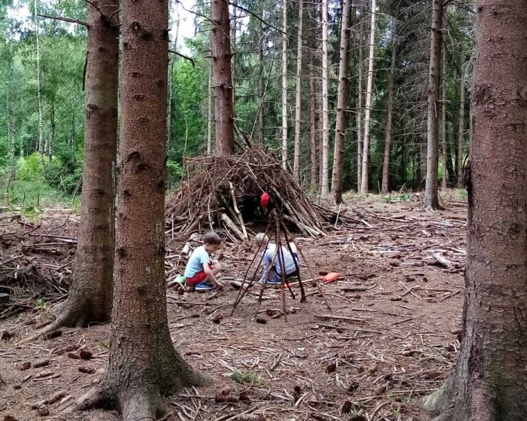 Bücher für Waldliebhaber ⋆ kannmamamachen