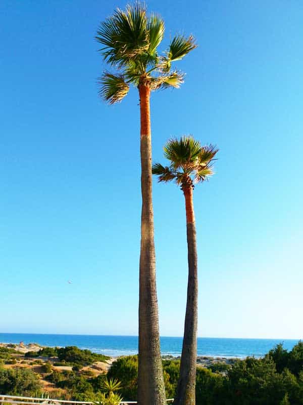 Zimmer mit Meerblick im Urlaub an der Costa de la Luz